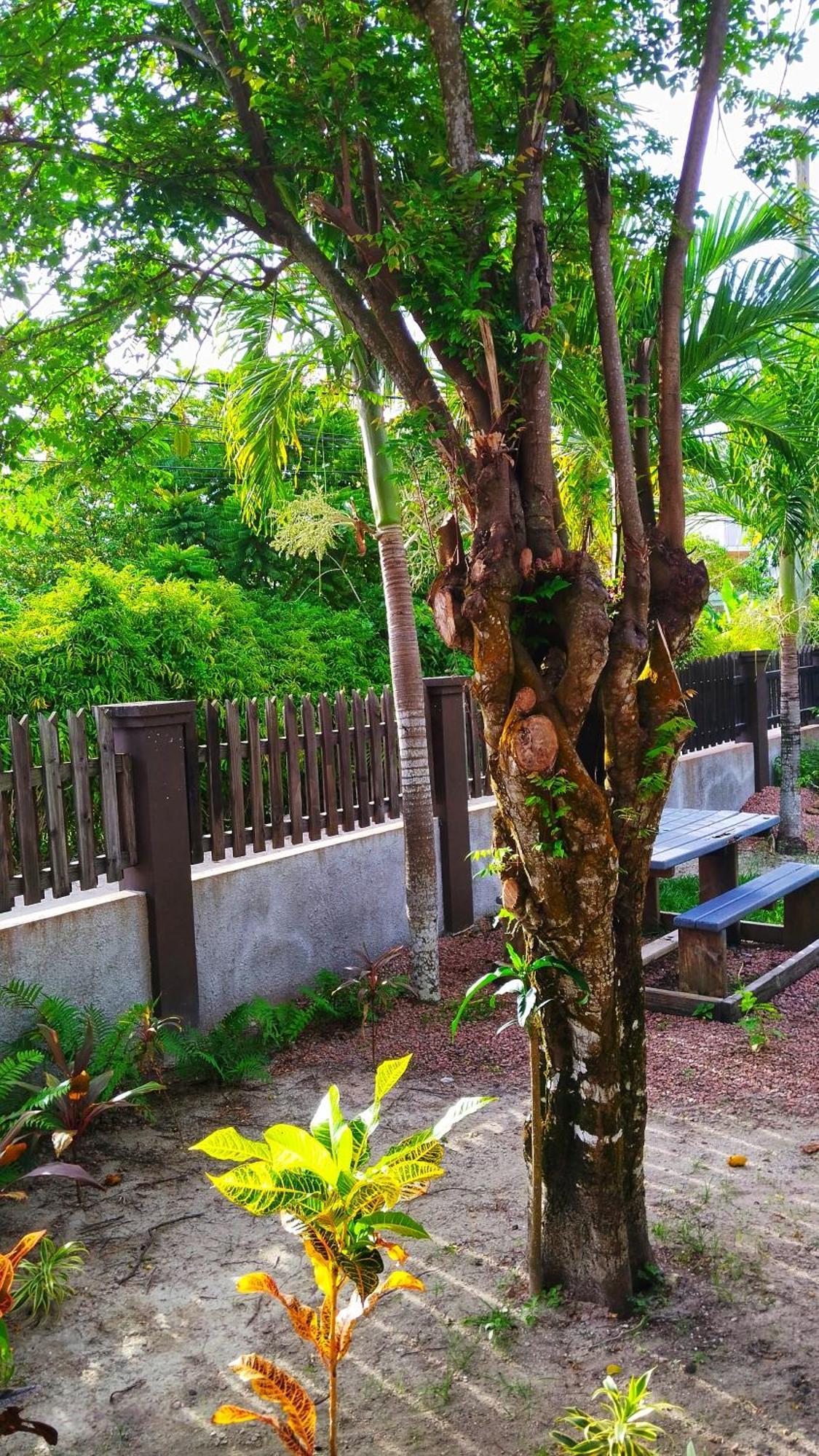 Fern Lodge Self Catering Đảo Đảo La Digue Phòng bức ảnh